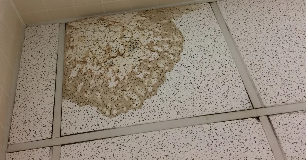 Wasserschaden an der Decke: braune Verfärbung und aufgequollene Plattenoberfläche nach einem undichten Rohr